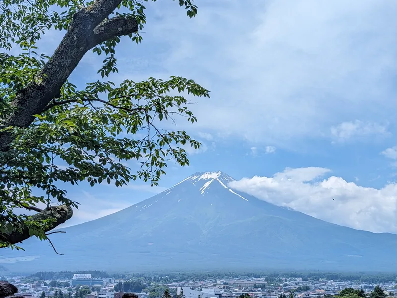 Mount Fuji snow-capped peak with tree branch in foreground overlooking Fujiyoshida town, Yamanashi, Japan.
