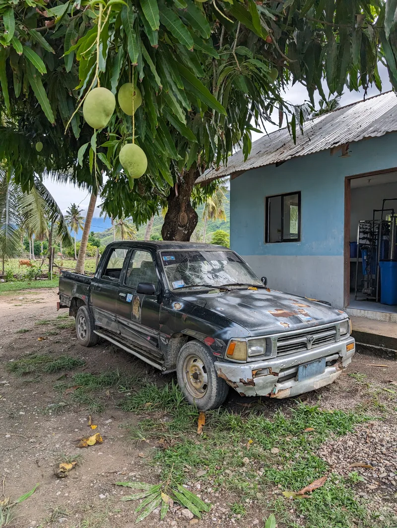 Old rusty black Toyota Hilux pickup truck parked under a mango tree with green mangoes at Henalric resort in Caramay, Roxas, Palawan