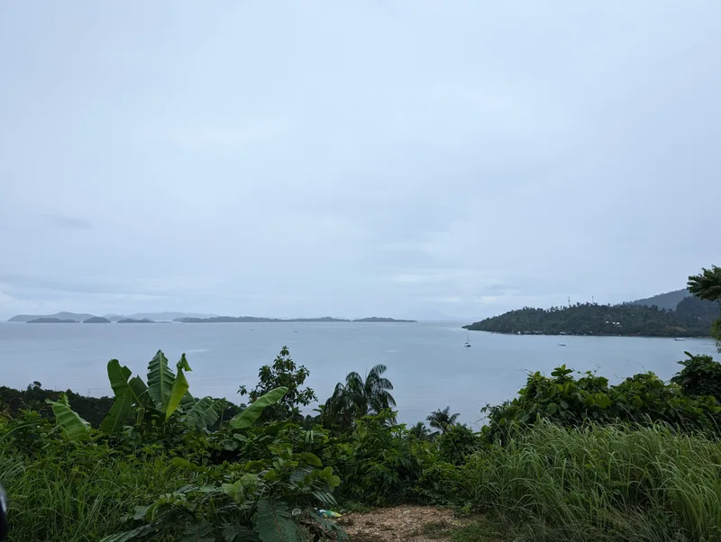 Panoramic view of a calm bay with green hills and islands under a cloudy sky in Palawan Philippines