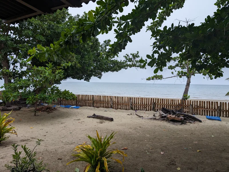 Sandy beach with green tropical plants and calm ocean viewed from the grounds of Henalric resort in Caramay, Roxas, Palawan Philippines