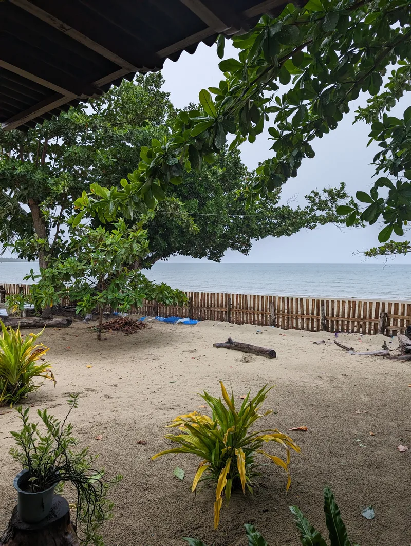 Sandy beach with green tropical plants and calm ocean viewed from the grounds of Henalric resort in Caramay, Roxas, Palawan Philippines